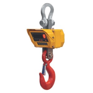 Crane scales PZ 407E/0030
