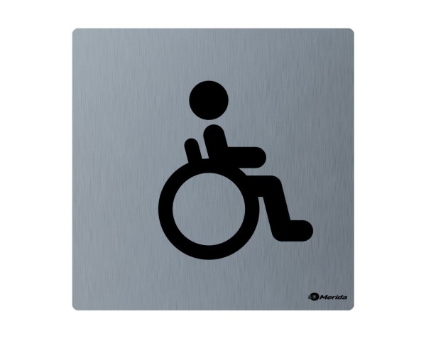 Stainless steel toilet